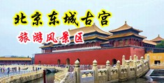 美女和男生鸡吧黄色网站中国北京-东城古宫旅游风景区